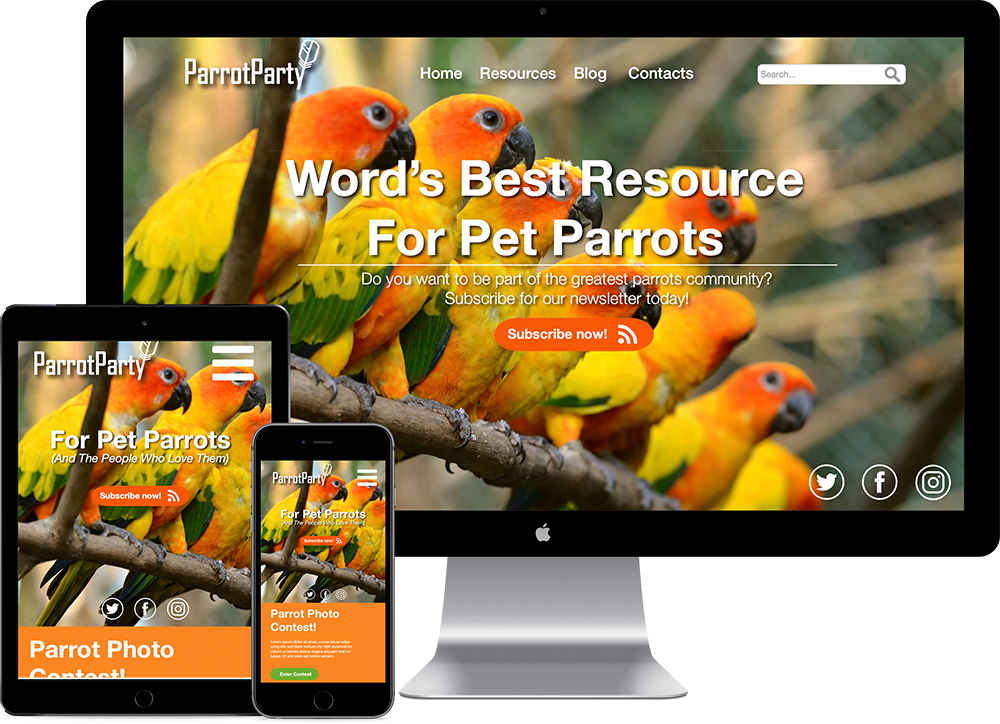Parot party design